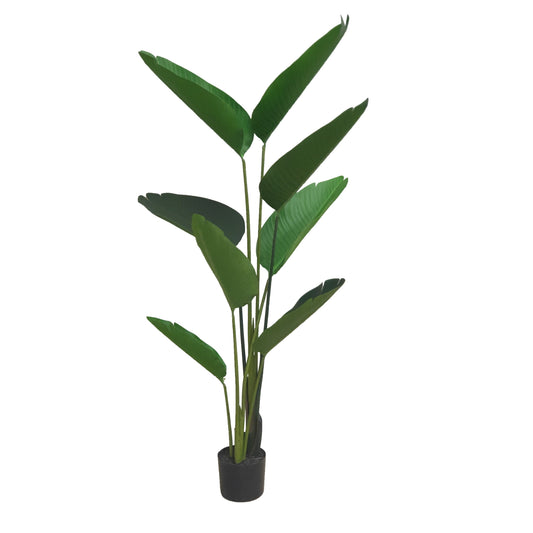 Criterion Artificial Banana Palm 1800mm