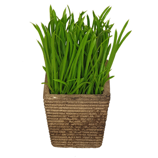 Criterion Artificial Potted Grass Plant (small) 160mm