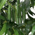 Criterion Artificial Bamboo Plant 1700mm