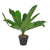 Criterion Artificial Broad Leaf Plant 430mm