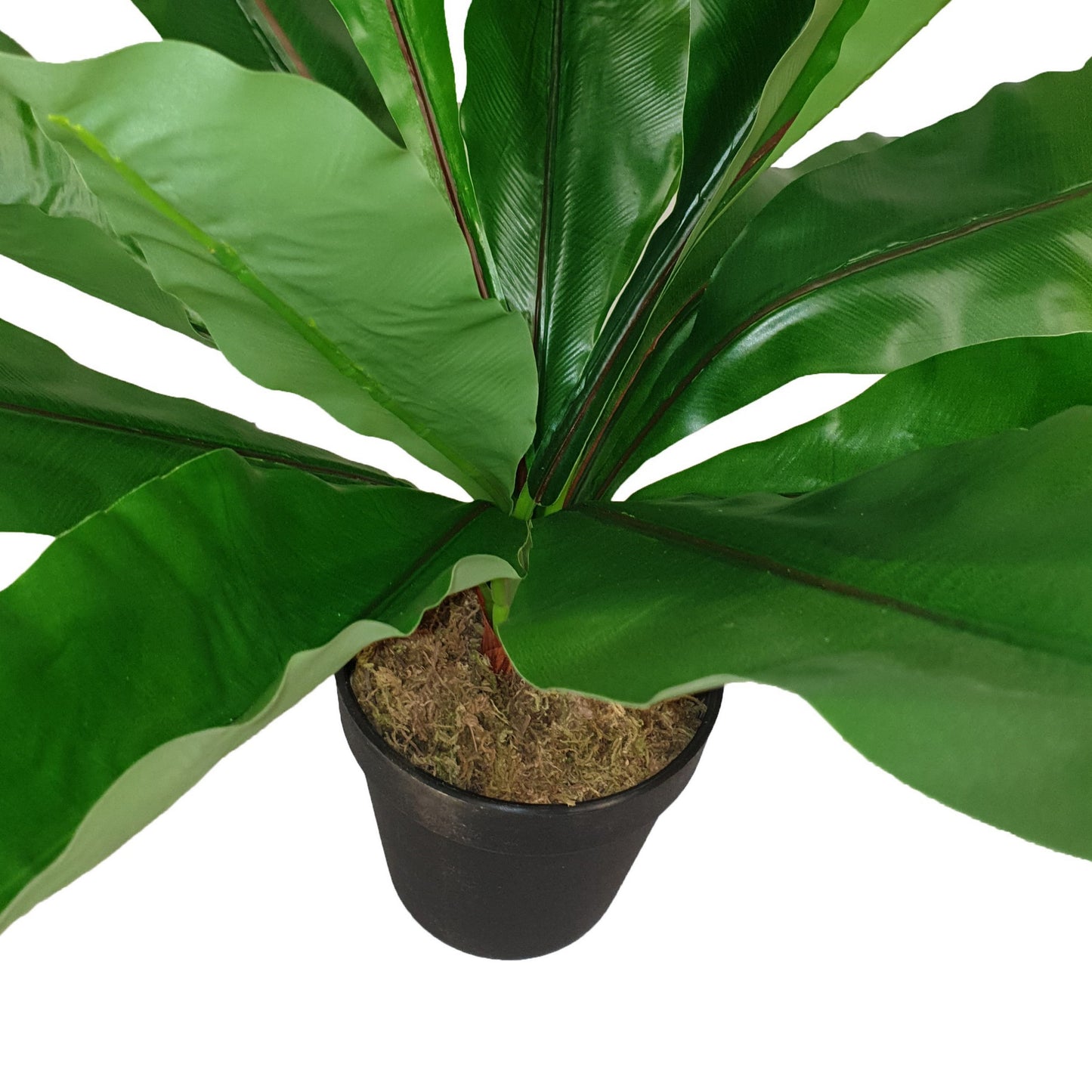 Criterion Artificial Broad Leaf Plant 430mm