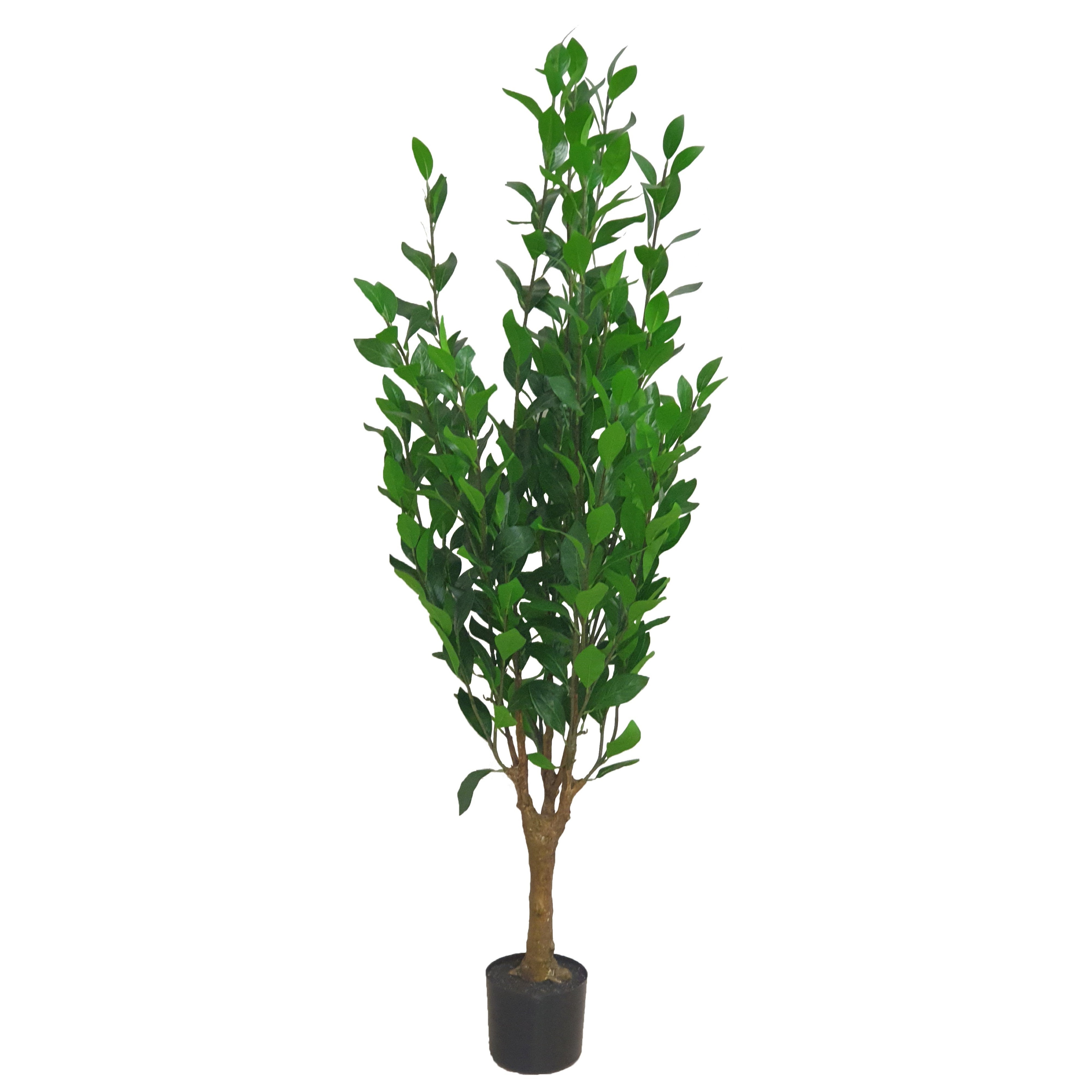 Criterion Artificial Olive Tree 1400mm – Criterion.com.au