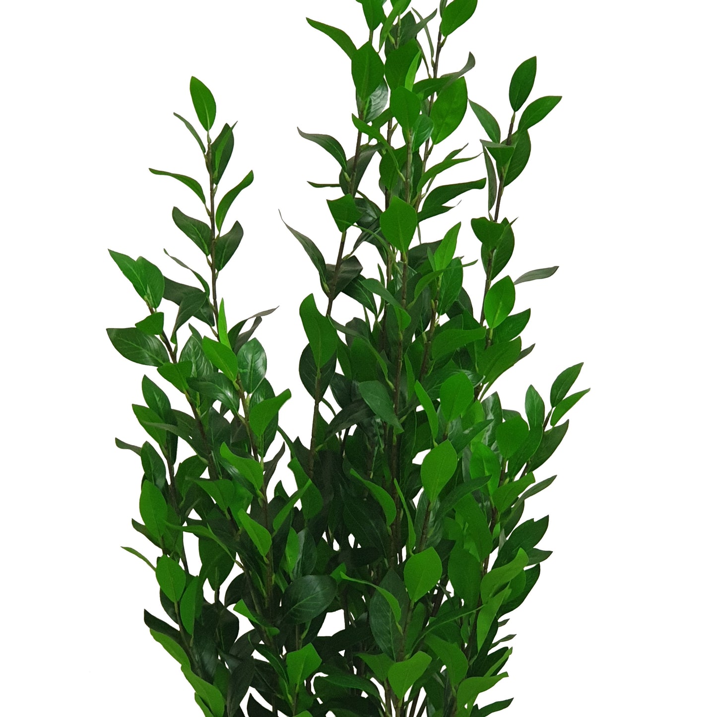 Criterion Artificial Olive Tree 1400mm