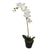 Criterion Artificial Orchid 600mm