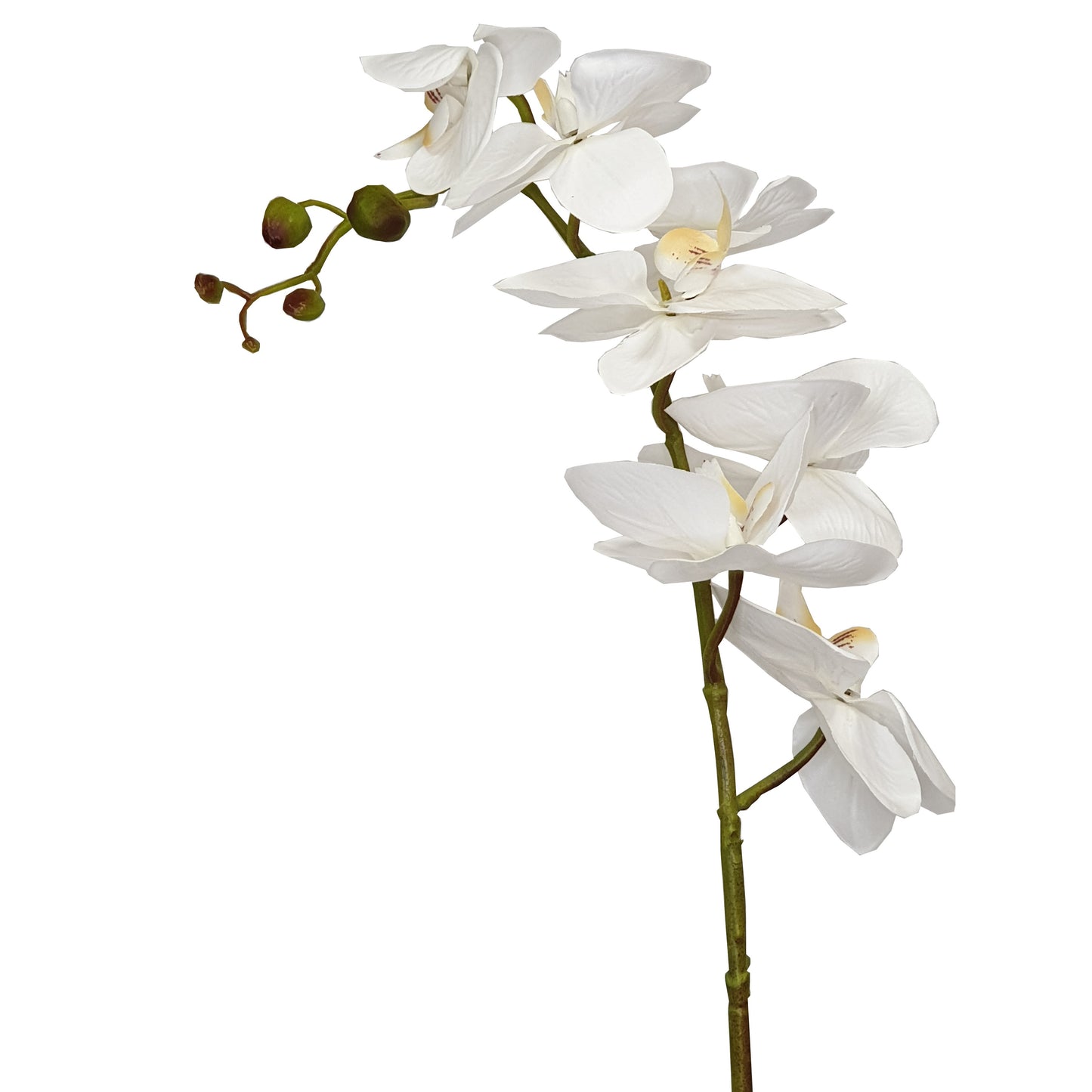 Criterion Artificial Orchid 600mm