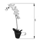 Criterion Artificial Orchid 600mm