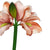 Criterion Artificial Potted Peach Flower 400mm