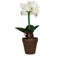 Criterion Artificial Potted White Flower 400mm